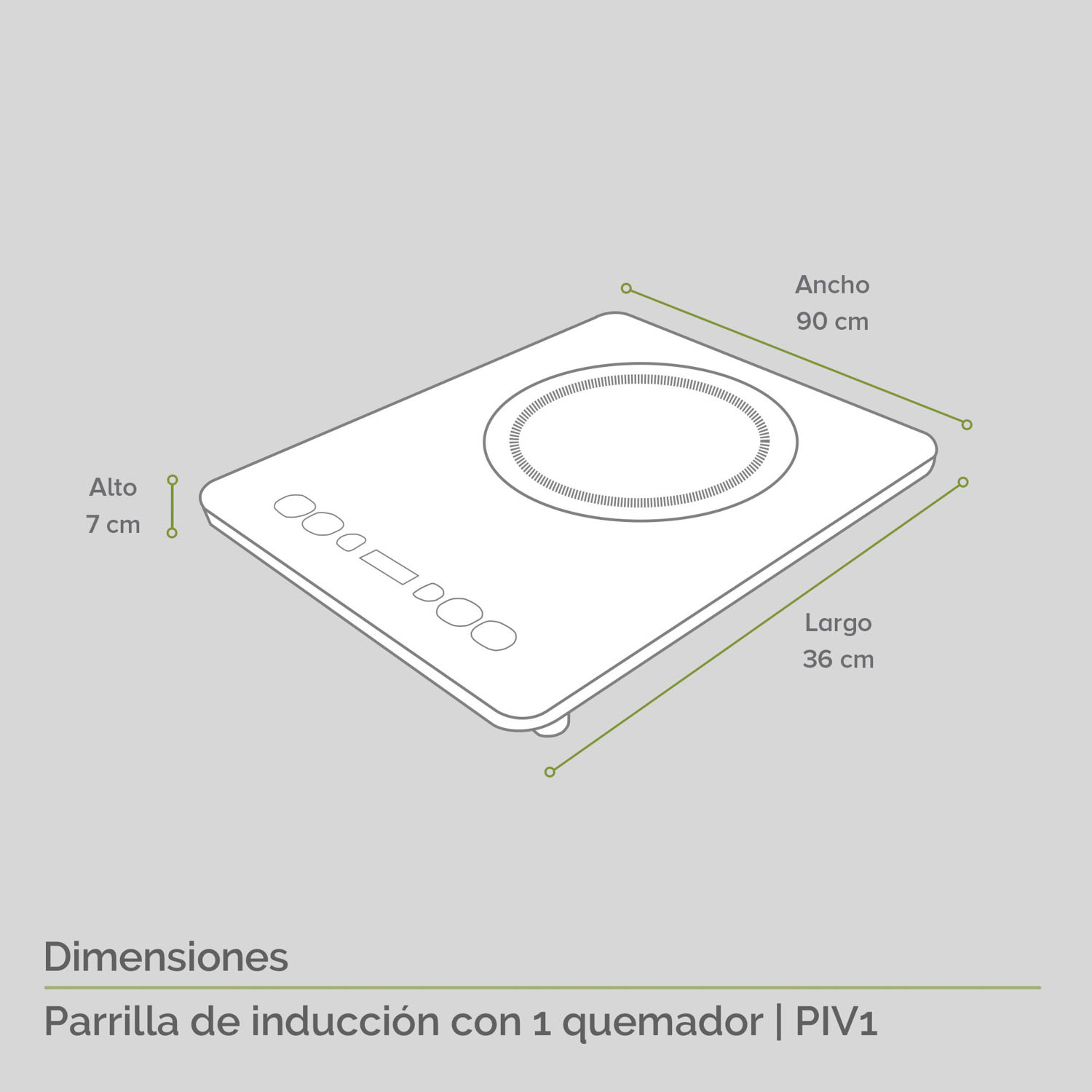 PIV1_05